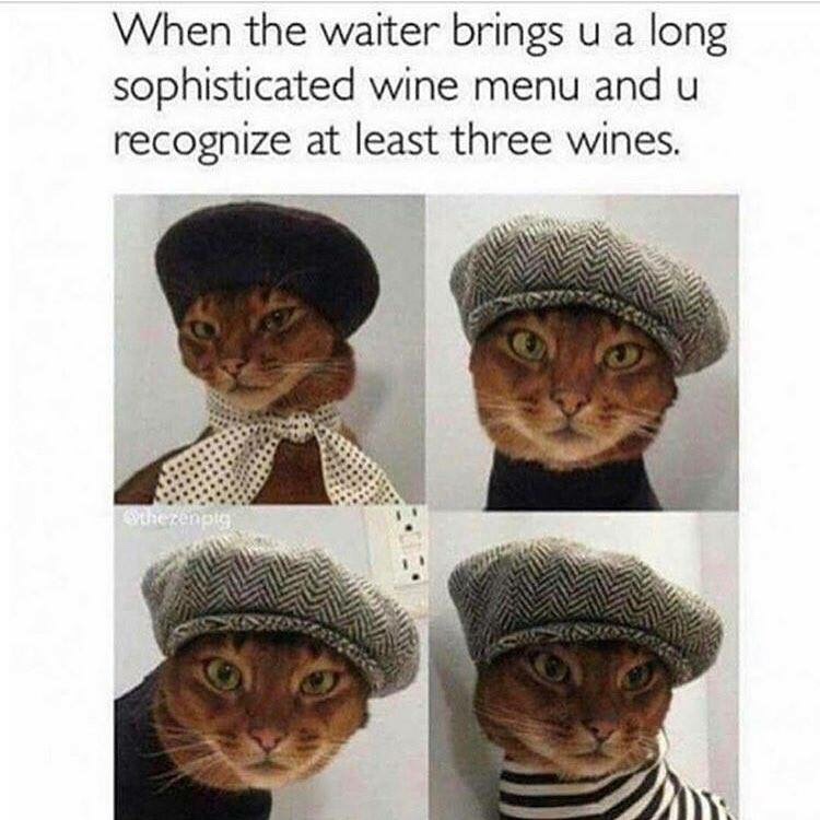 waiter brings you a long sophisticated wine menu and you recognize at least three wines - When the waiter brings u a long sophisticated wine menu and u recognize at least three wines. serengta