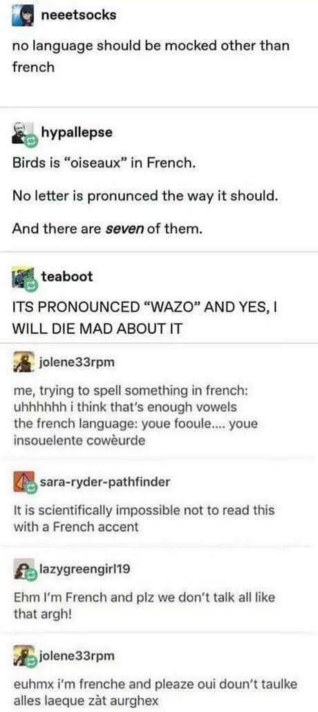 memes about french language - neeetsocks no language should be mocked other than french hypallepse Birds is "oiseaux" in French. No letter is pronunced the way it should. And there are seven of them. teaboot Its Pronounced "Wazo" And Yes, Will Die Mad Abo