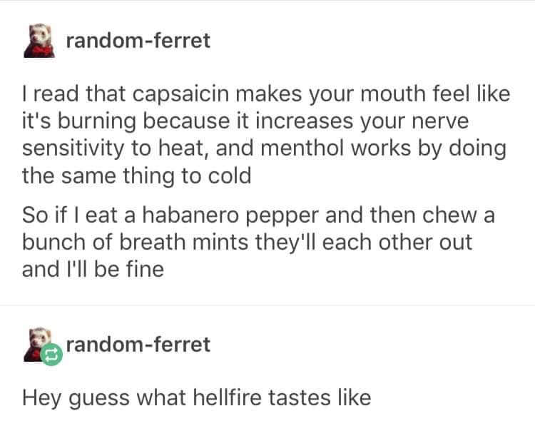 Supply - randomferret Tread that capsaicin makes your mouth feel it's burning because it increases your nerve sensitivity to heat, and menthol works by doing the same thing to cold So if I eat a habanero pepper and then chew a bunch of breath mints they'l