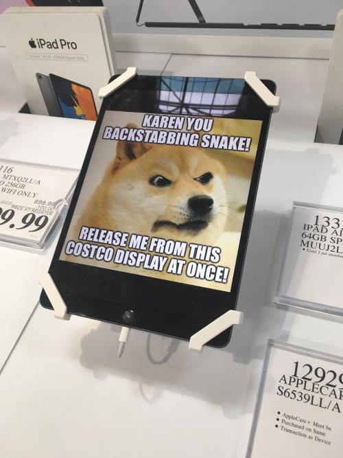 doge costco - iPad Pro Karen You Backstabbing Snake! Itqulla 2500B Wifi Only 899. Co 9.99 Release Me From This Costco Display At Once! 133 Ipad Ai 64GB Sp MUUJ2L . 12929 Applecaf 56539LLIA AppleCare Must Punched on Same Traction Device