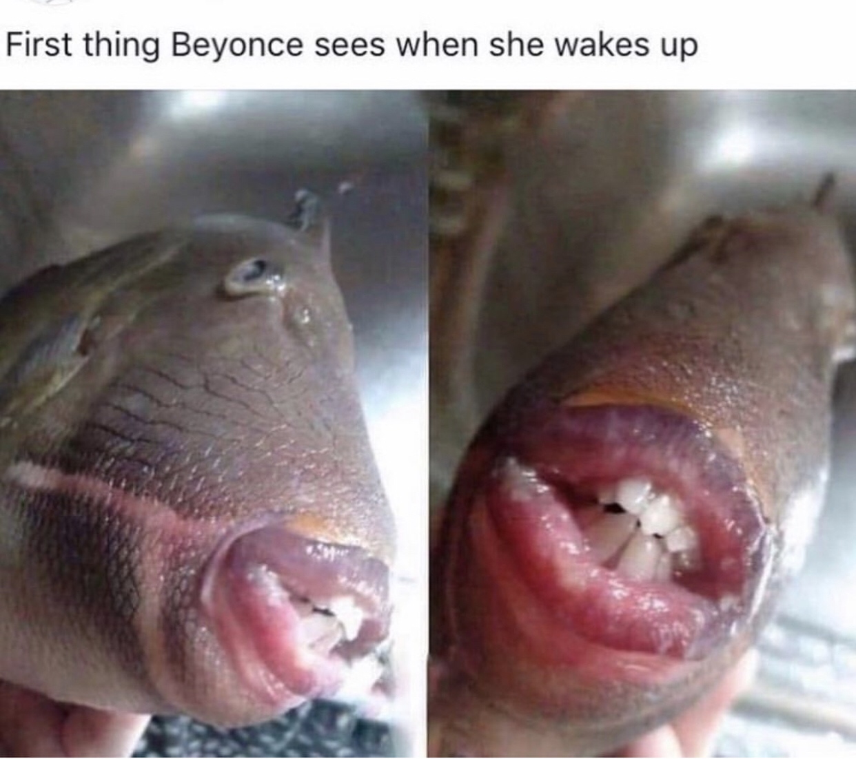 beyonce wakes up - First thing Beyonce sees when she wakes up