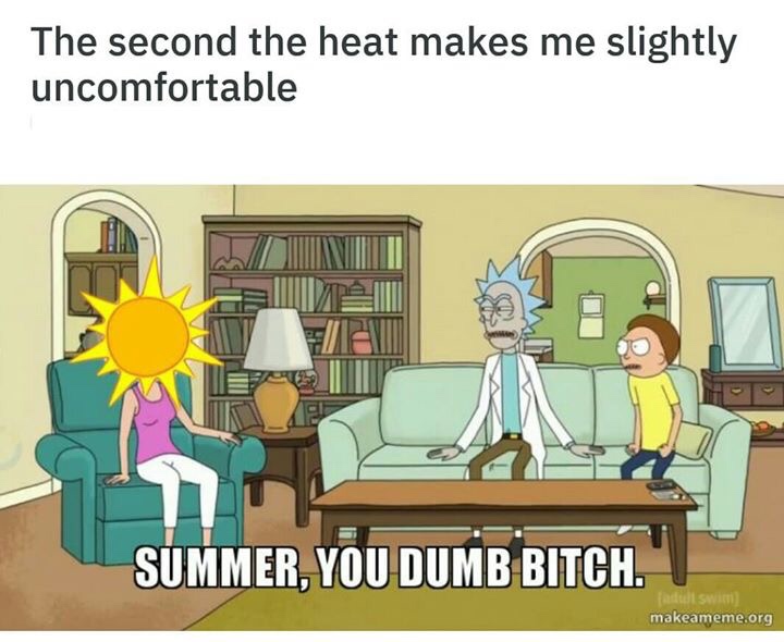 summer you dumb bitch meme - The second the heat makes me slightly uncomfortable Summer, You Dumb Bitch. makeameme.org