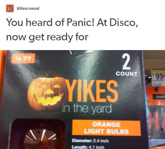 orange - kittencasual You heard of Panic! At Disco, now get ready for 54.99 Count 099 Syikes Caut in the yard Orange Light Bulbs Diameter24 inch Length 4.1 inch