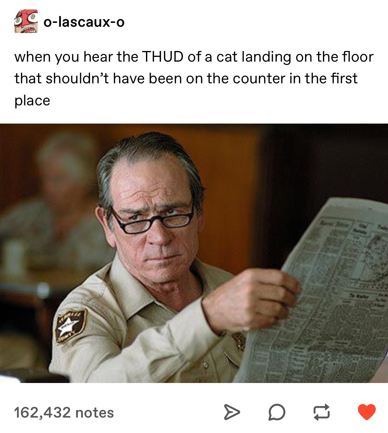 tommy lee jones newspaper - Colascauxo when you hear the Thud of a cat landing on the floor that shouldn't have been on the counter in the first place 162,432 notes > D