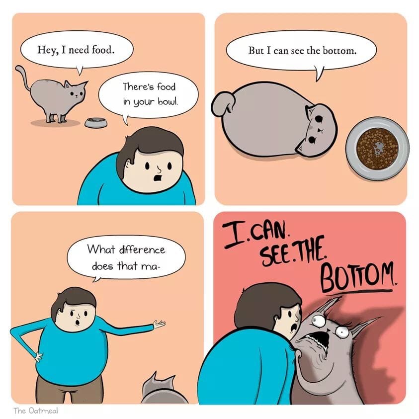 oatmeal cat bowl comic - Hey, I need food. But I can see the bottom. There's food in your bowl. What difference does that ma I.Can See.The. Bottom The Oatmeal