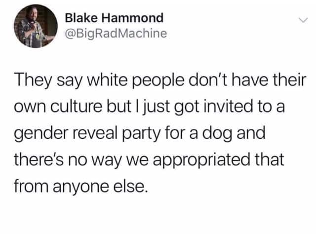 you booing me im right landing plane - Blake Hammond Machine They say white people don't have their own culture but I just got invited to a gender reveal party for a dog and there's no way we appropriated that from anyone else.