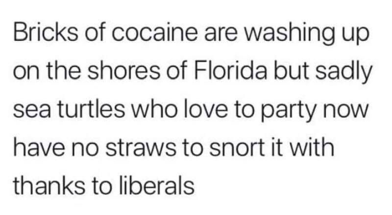 fortunatus fonte - Bricks of cocaine are washing up on the shores of Florida but sadly sea turtles who love to party now have no straws to snort it with thanks to liberals