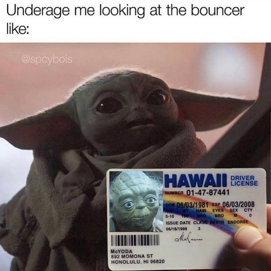 funny baby yoda memes - Underage me looking at the bouncer Hawaii Dresse Driver License Number 014787441 Dob 06031981 Exp 06032008 Wt Hair Eyes Sex Cty 510 150 Bro Bro 0 Issue Date Class Restr Endorse 06181998 3 McYODA 892 Momona St Honolulu, Hi 96820