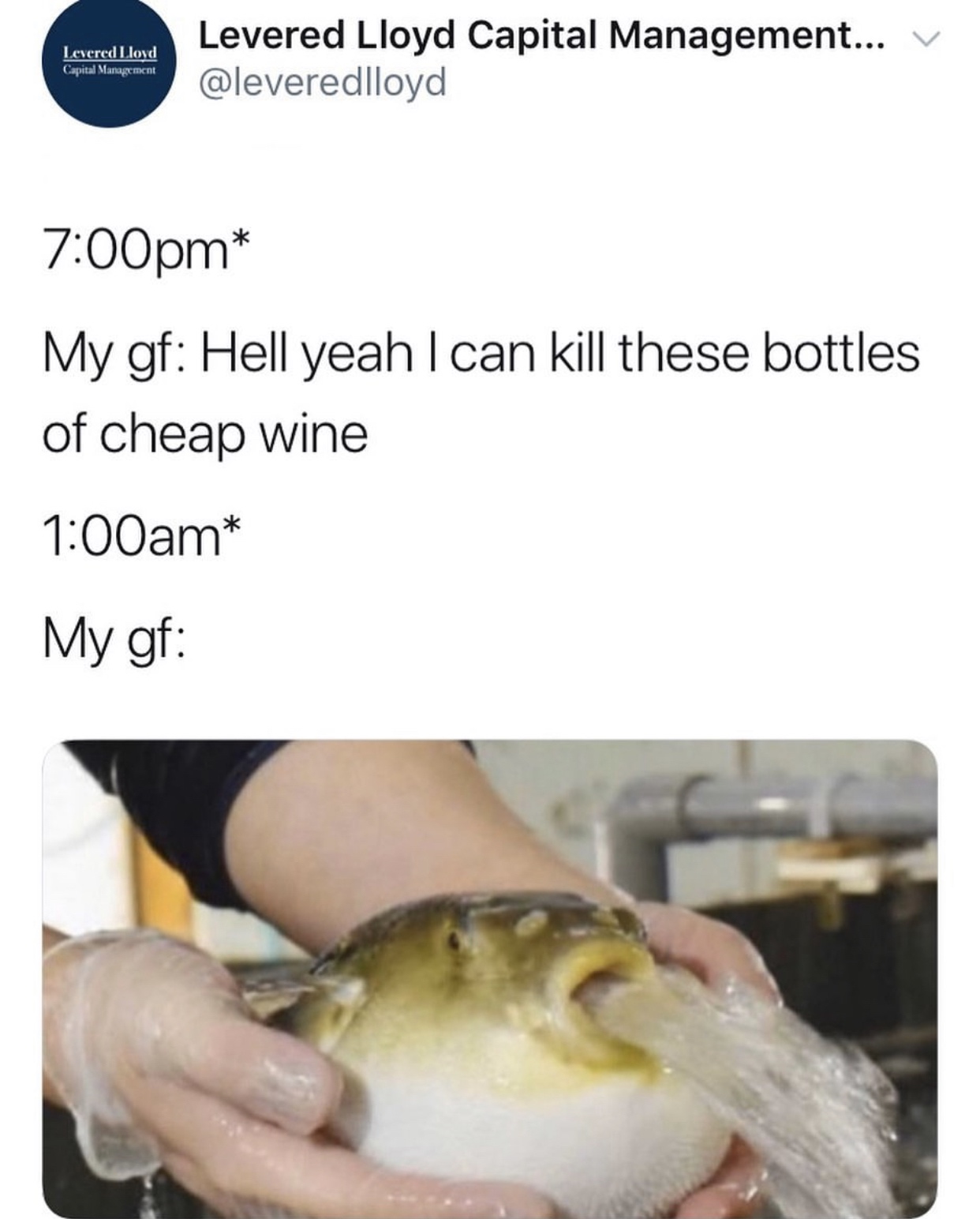pufferfish greentext - Levered Lloyd Capital Management Levered Lloyd Capital Management... V pm My gf Hell yeah I can kill these bottles of cheap wine am My gf
