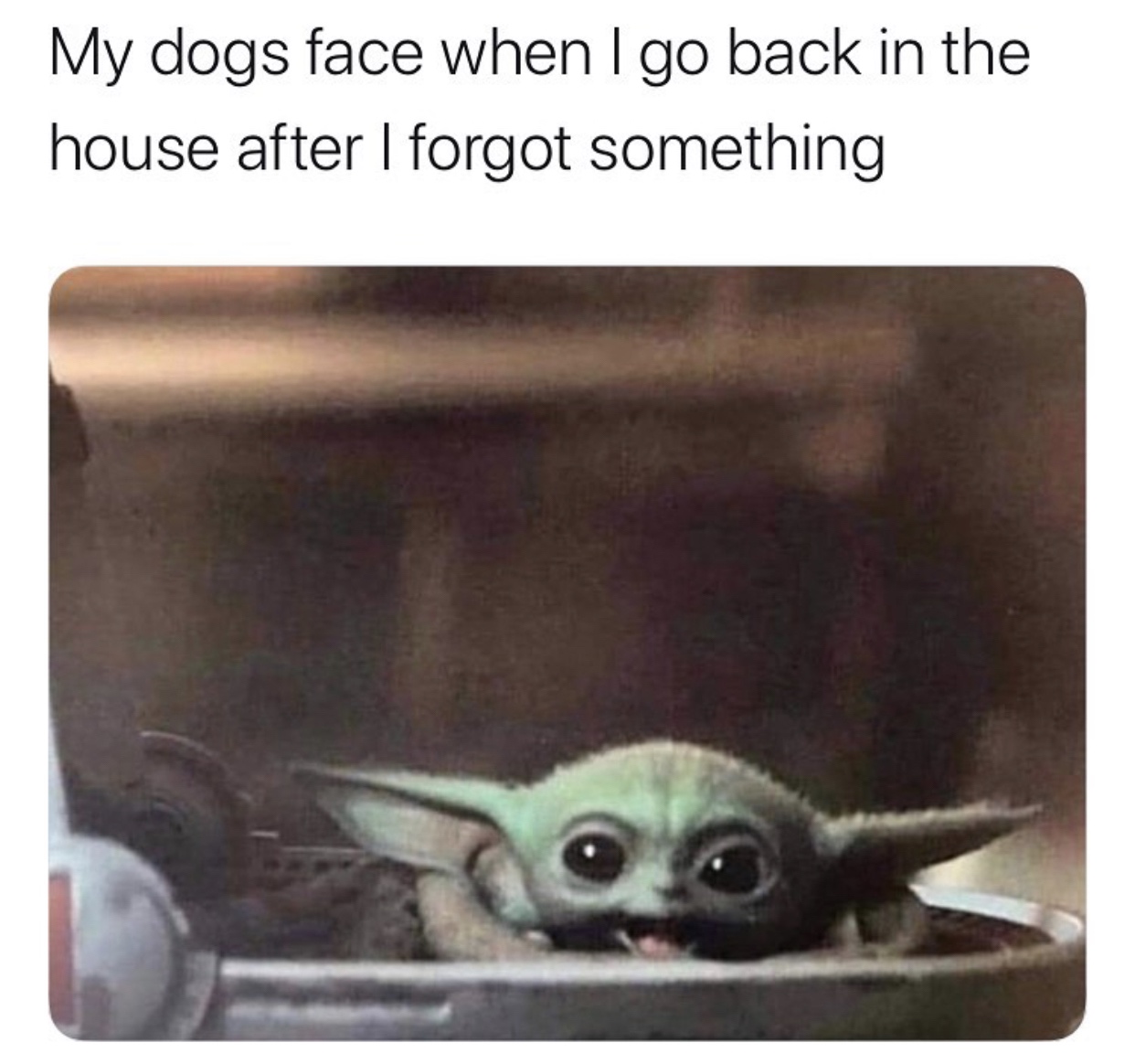 baby yoda meme heart - My dogs face when I go back in the house after I forgot something