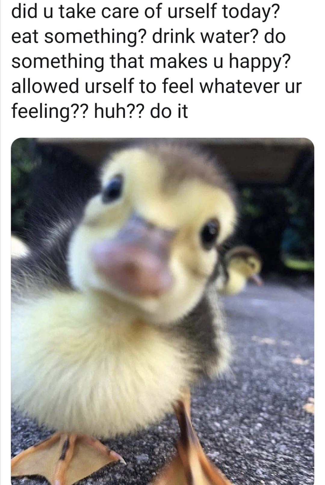 Duck - did u take care of urself today? eat something? drink water? do something that makes u happy? allowed urself to feel whatever ur feeling?? huh?? do it