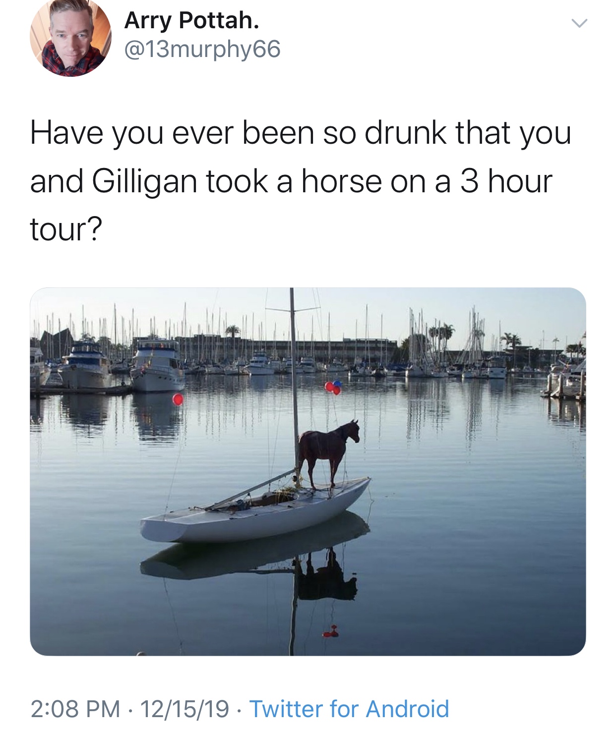horse sailing - Arry Pottah. Have you ever been so drunk that you and Gilligan took a horse on a 3 hour tour? 121519 Twitter for Android