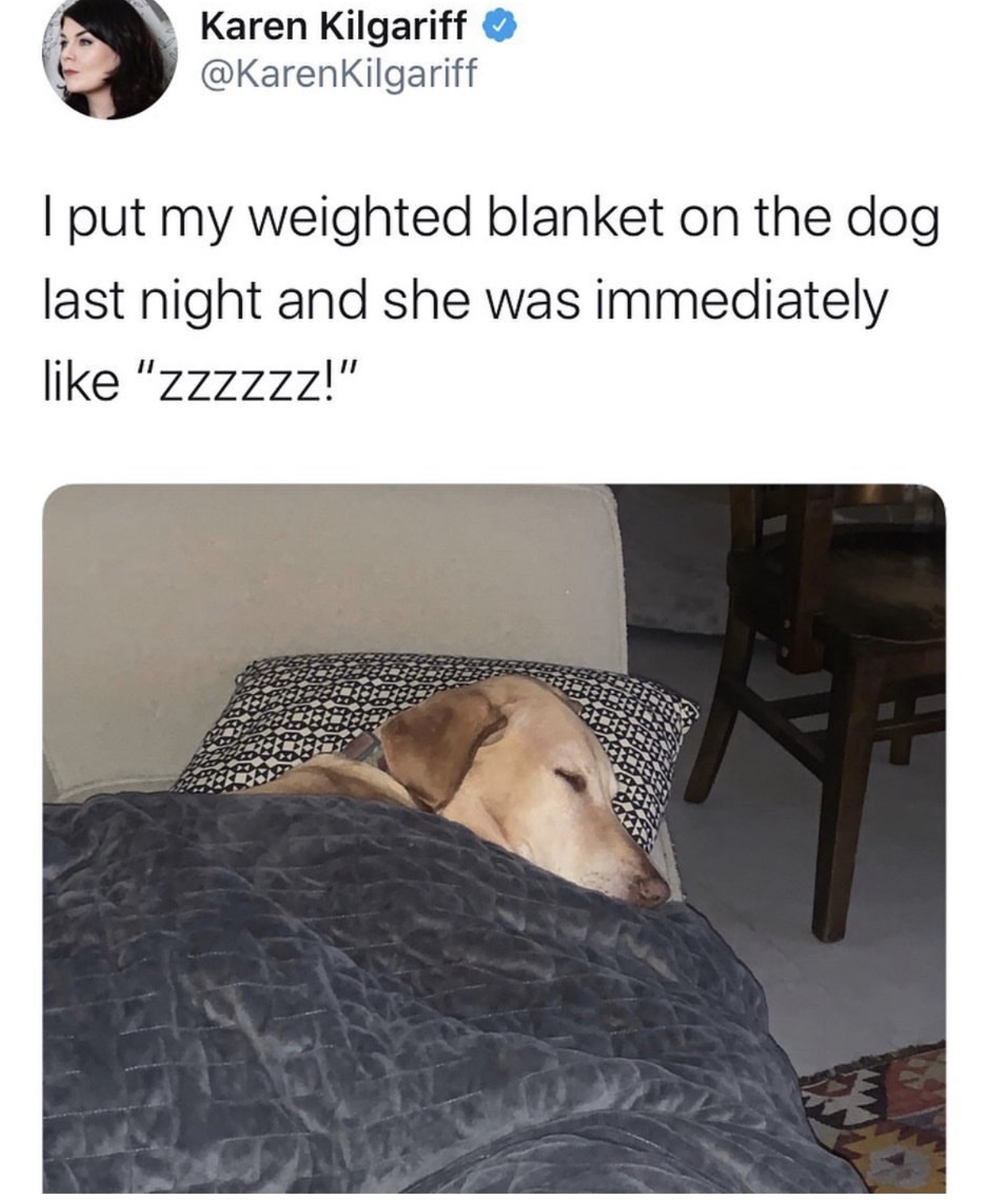 photo caption - Karen Kilgariff Kilgariff I put my weighted blanket on the dog last night and she was immediately "Zzzzzz!"