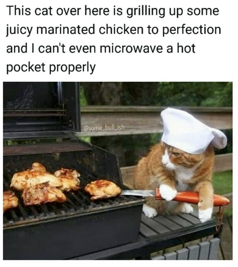 cat grilling meme - This cat over here is grilling up some juicy marinated chicken to perfection and I can't even microwave a hot pocket properly