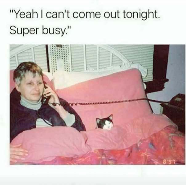 can t come out tonight meme - "Yeah I can't come out tonight. Super busy."