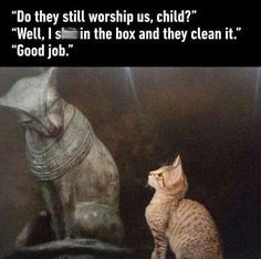 cat meme do they still worship us child - "Do they still worship us, child?" "Well, Isis in the box and they clean it." "Good job."