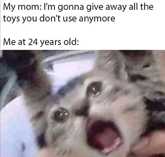 cat memes - My mom I'm gonna give away all the toys you don't use anymore Me at 24 years old