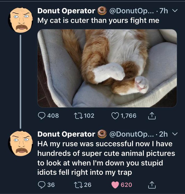 bamboozled memes - Donut Operator ... .7h v My cat is cuter than yours fight me 408 22 102 1,766 1 Donut Operator ... 2h v Ha my ruse was successful now I have hundreds of super cute animal pictures to look at when I'm down you stupid idiots fell right in