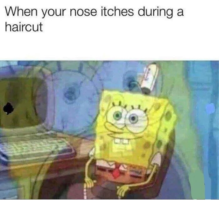 your nose itches during a haircut - When your nose itches during a haircut