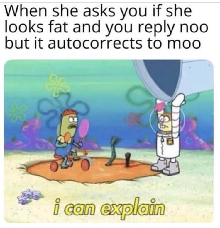 spongebob uh i can explain - When she asks you if she looks fat and you noo but it autocorrects to moo i can explain