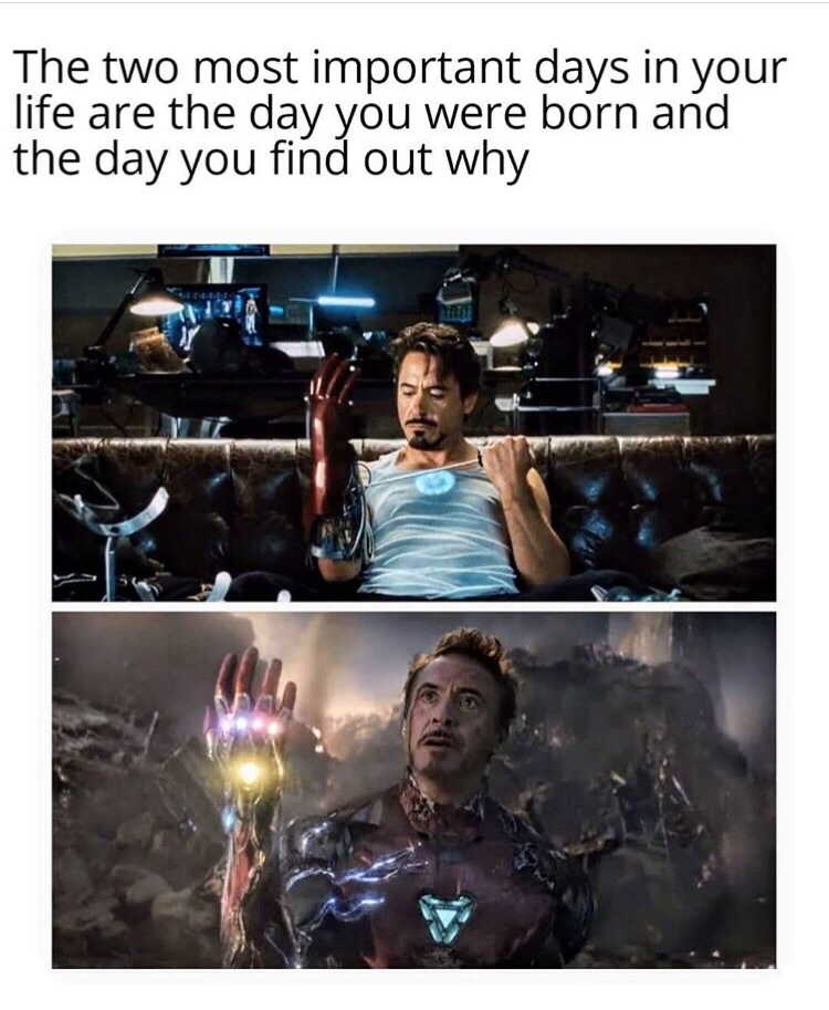 Marvel Cinematic Universe - The two most important days in your life are the day you were born and the day you find out why