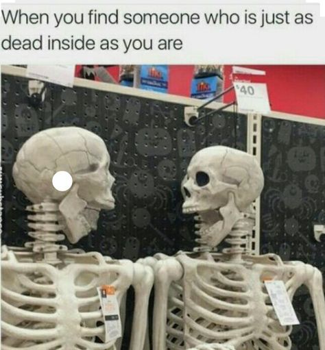 dead inside meme - When you find someone who is just as dead inside as you are 40