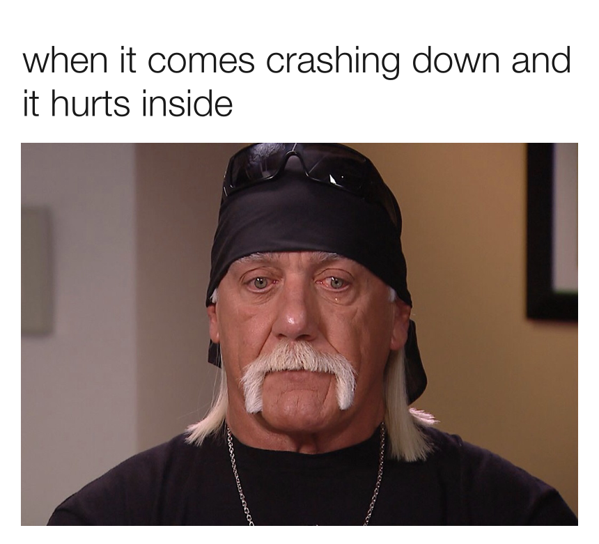 brother meme hulk hogan - when it comes crashing down and it hurts inside
