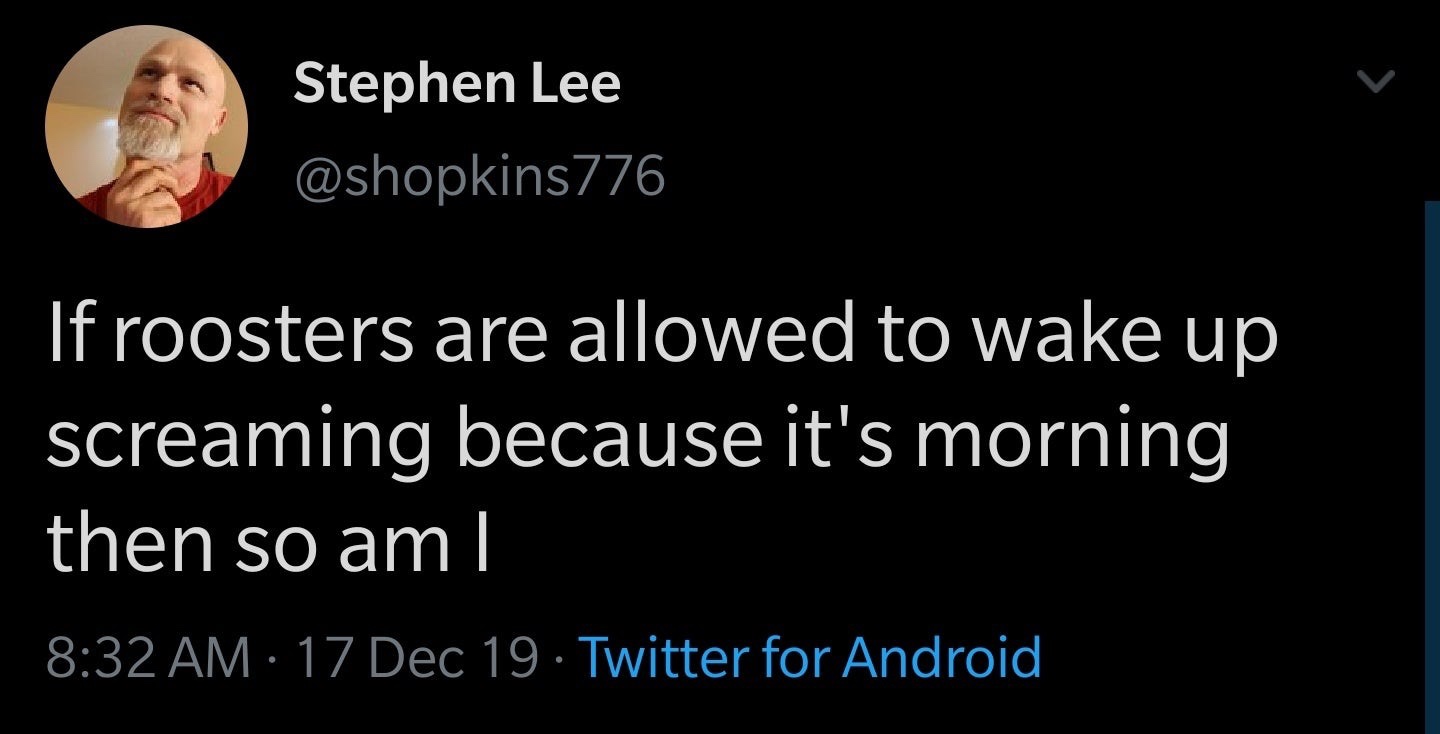 app store - Stephen Lee If roosters are allowed to wake up screaming because it's morning then so aml 17 Dec 19. Twitter for Android