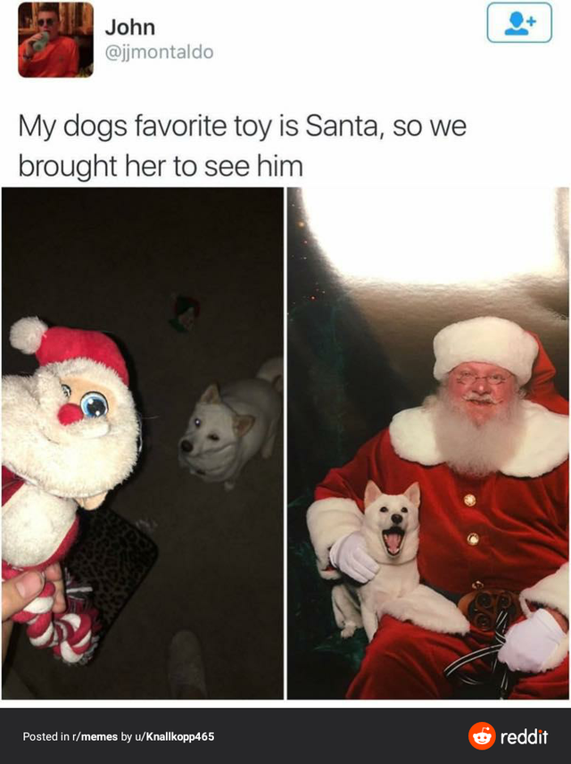 Christmas Day - John My dogs favorite toy is Santa, so we brought her to see him Posted in memes by Knopp165 reddit