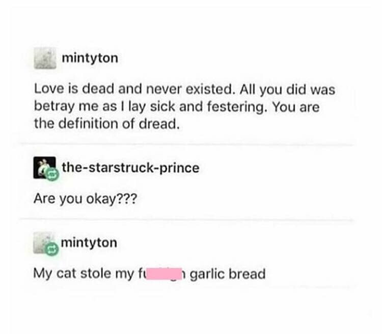 my cat stole my garlic bread - mintyton Love is dead and never existed. All you did was betray me as I lay sick and festering. You are the definition of dread. thestarstruckprince Are you okay??? mintyton My cat stole my fi garlic bread
