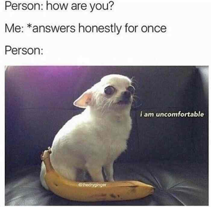 funny awkward memes - Person how are you? Me answers honestly for once Person i am uncomfortable Gthedryginger