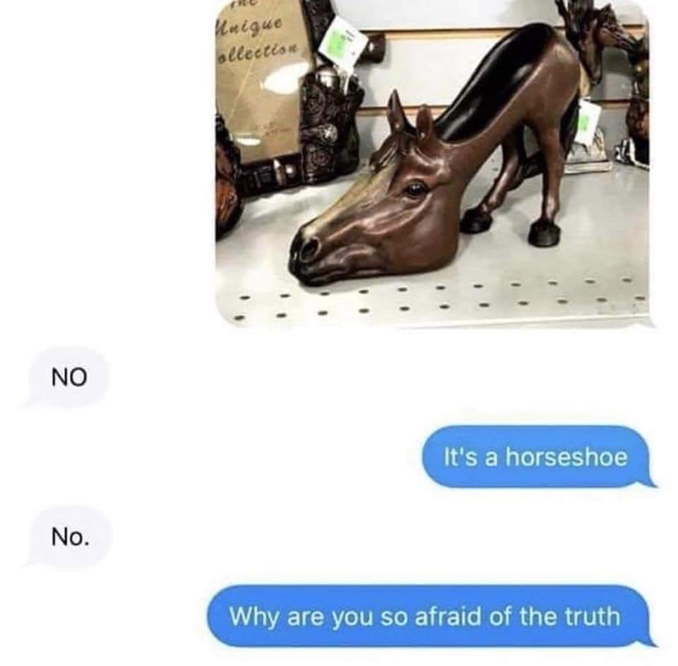 shoe memes - R Kuigue allection No It's a horseshoe No. Why are you so afraid of the truth