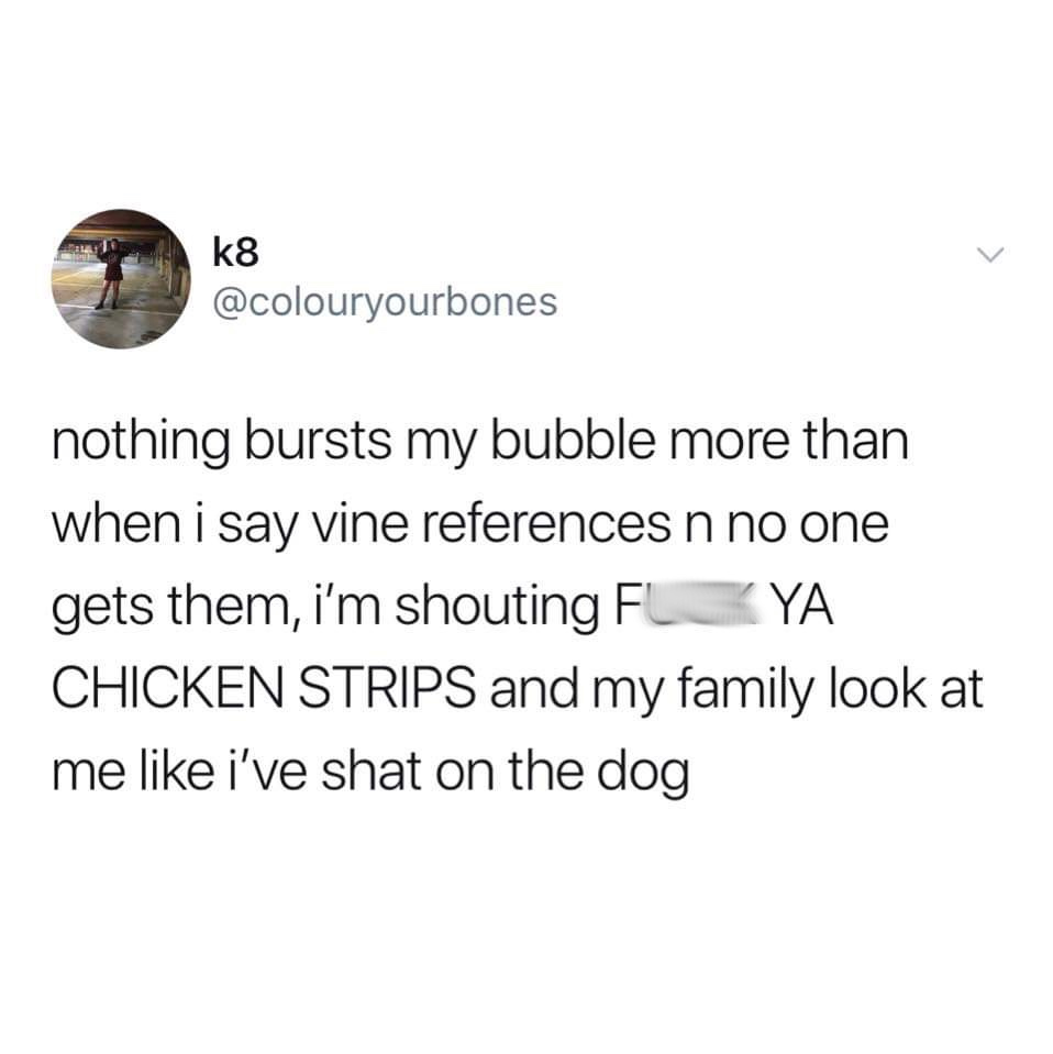k8 nothing bursts my bubble more than when i say vine references n no one gets them, i'm shouting Flya Chicken Strips and my family look at me i've shat on the dog