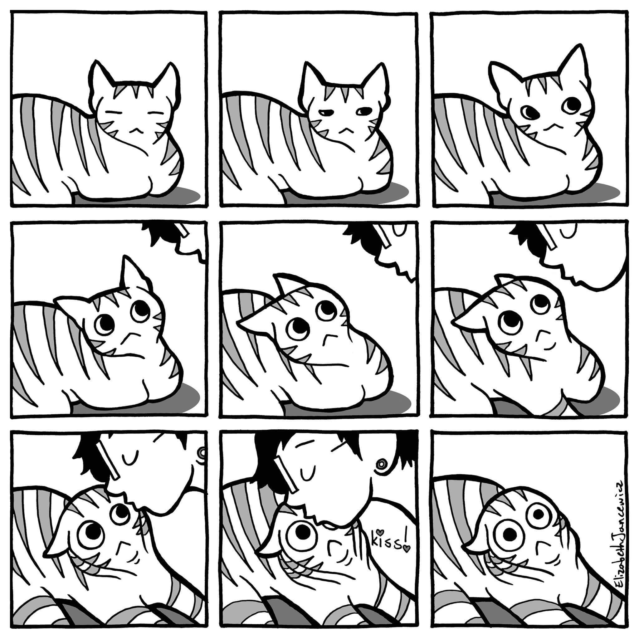 cat meme comics - Elzcheh Jancti