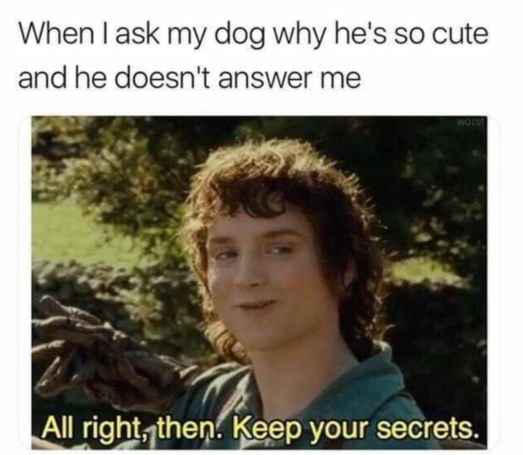 alright keep your secrets dog meme - When I ask my dog why he's so cute and he doesn't answer me All right, then. Keep your secrets.
