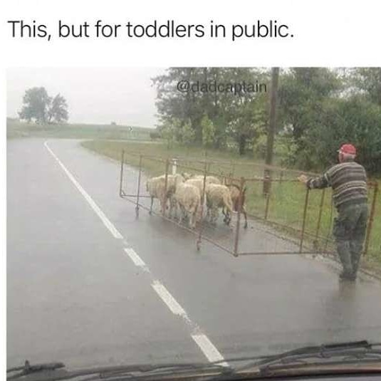 This, but for toddlers in public.