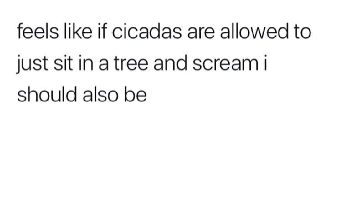 feels if cicadas are allowed to just sit in a tree and scream i should also be