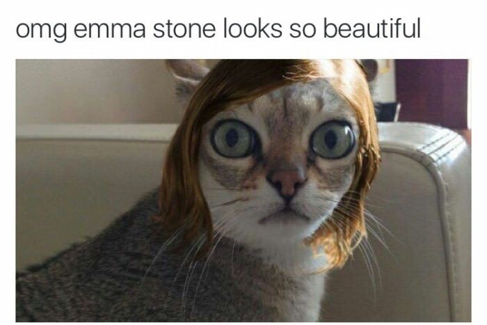 emma stone meme - omg emma stone looks so beautiful