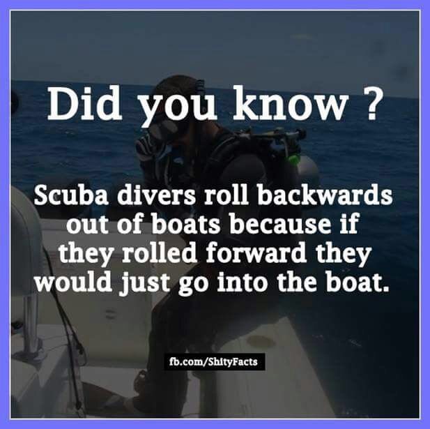 fact amazing - Did you know? Scuba divers roll backwards out of boats because if they rolled forward they would just go into the boat. fb.comShityFacts