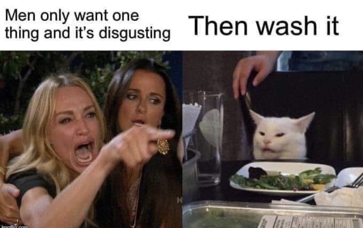 woman yelling at cat meme christmas - Men only want one thing and it's disgusting Then wash it niline