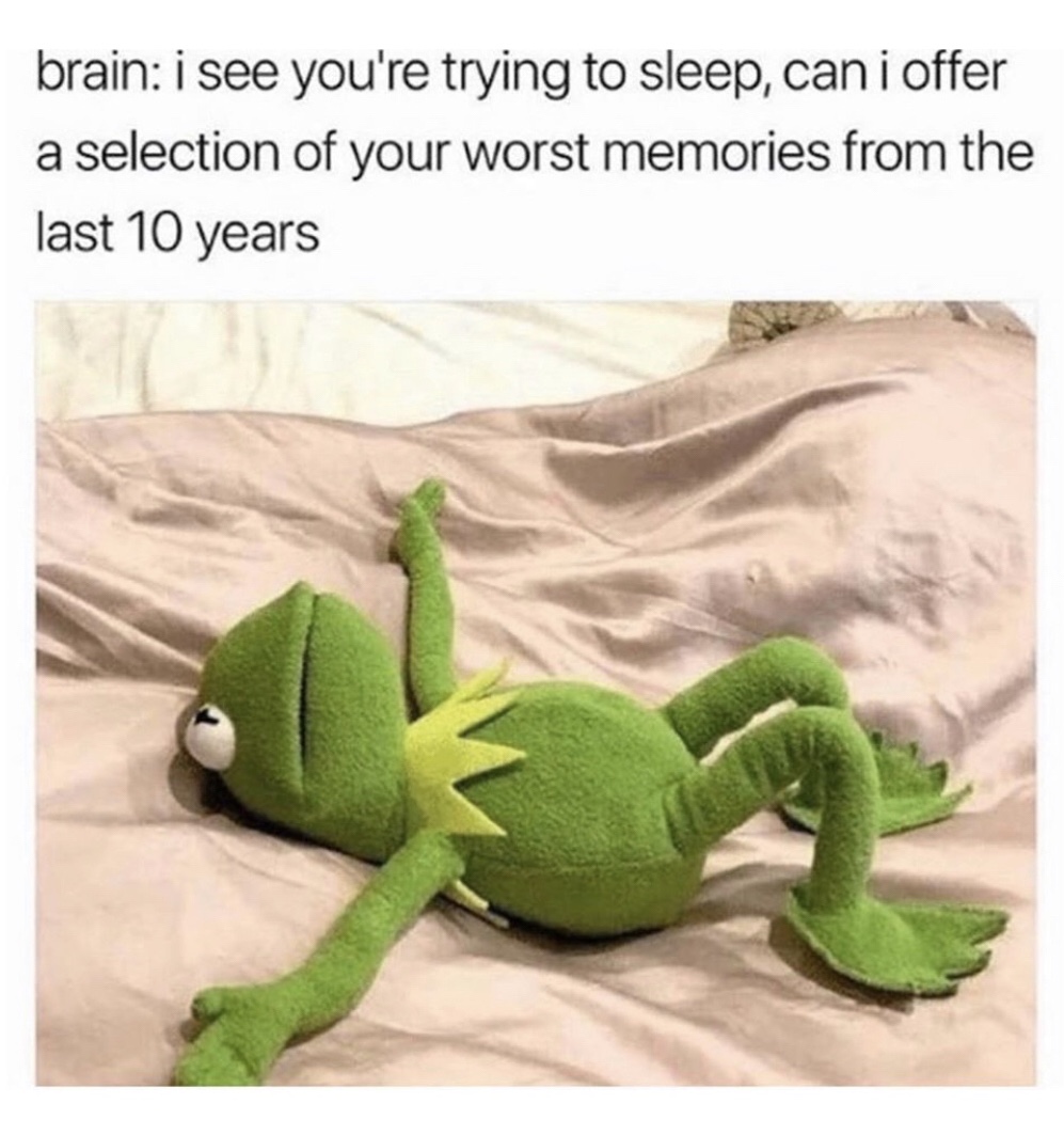 kermit meme template - brain i see you're trying to sleep, can i offer a selection of your worst memories from the last 10 years