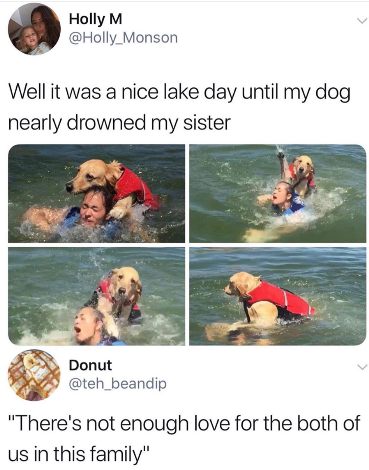 meme that guaranteed makes you laugh - Holly M Well it was a nice lake day until my dog nearly drowned my sister Donut "There's not enough love for the both of us in this family"