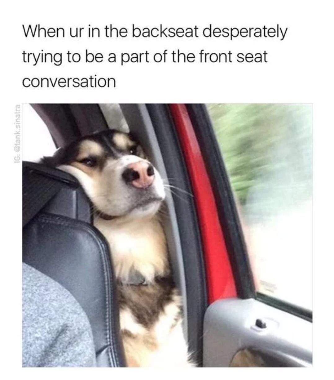 funny memes - When ur in the backseat desperately trying to be a part of the front seat conversation tanesinatra 1