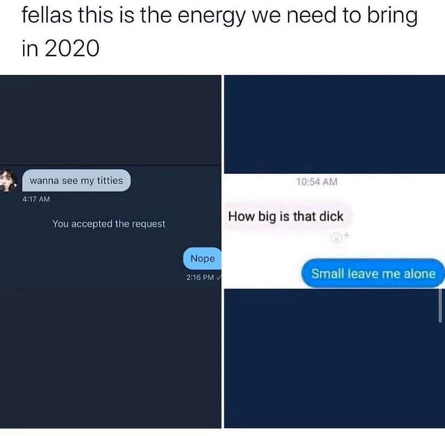 Internet meme - fellas this is the energy we need to bring in 2020 wanna see my titties How big is that dick You accepted the request Nope Small leave me alone