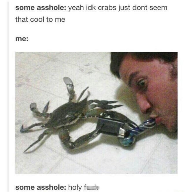 cool crabs meme - some asshole yeah idk crabs just dont seem that cool to me me some asshole holy fute