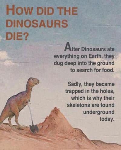 did the dinosaurs - How Did The Dinosaurs Die? After Dinosaurs ate everything on Earth, they dug deep into the ground to search for food. Sadly, they became trapped in the holes, which is why their skeletons are found underground today.