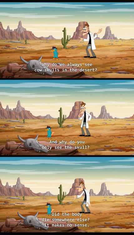 do we always see cow skulls - Why do we always see Cow Skulls in the desert? And why do you only see the skull? Did the body die somewhere else? It makes no sense.