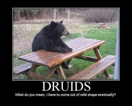d&d wild shape - Druids What do you mean, I have to come out of wild shape eventually