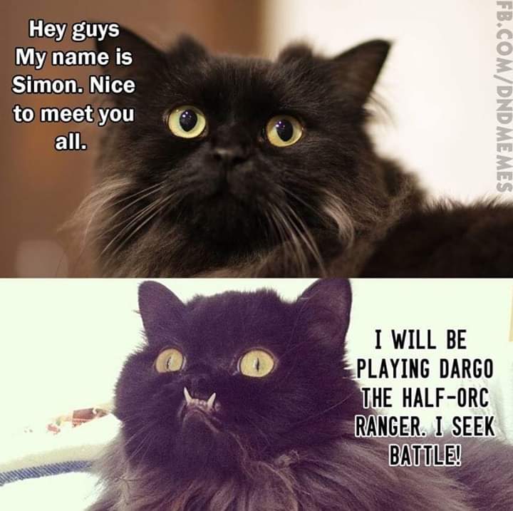 dnd memes - Hey guys My name is Simon. Nice to meet you all. Fb.ComDnd Memes I Will Be Playing Dargo The HalfOrc Ranger. I Seek Battle!