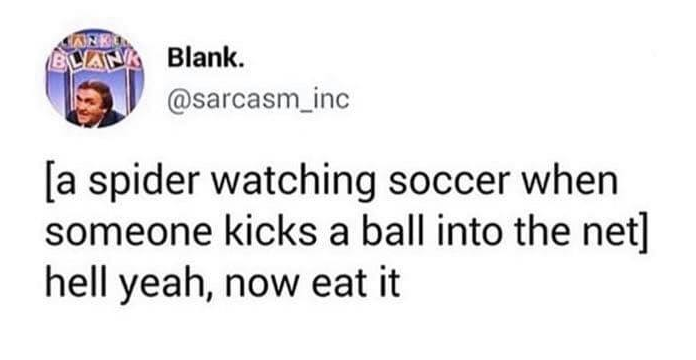 Cheezburger, Inc. - Blank. a spider watching soccer when someone kicks a ball into the net hell yeah, now eat it